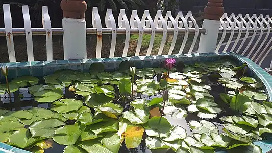 Фото 4